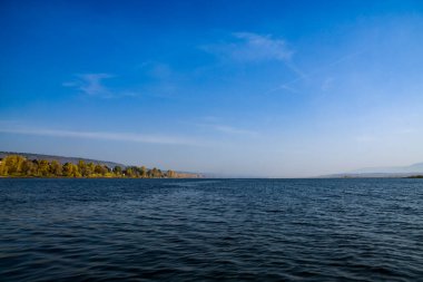 Sonbaharda doğa. Sonbahar nehri boyunca yürü.