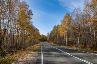 Sonbahar ormanı boyunca yol
