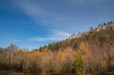 Güzelim sonbahar ormanında yürü