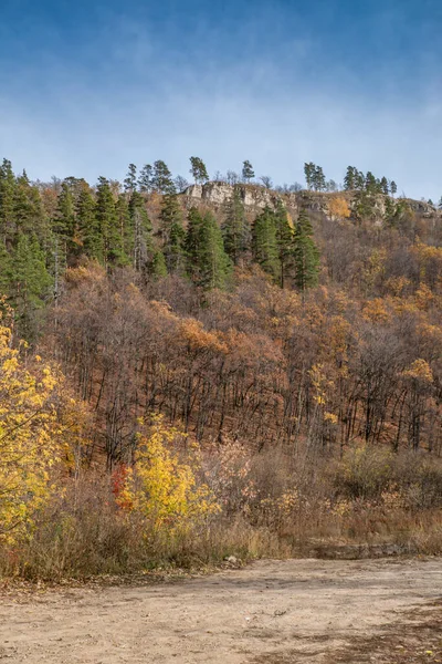 Spaziergang Durch Den Schönen Herbstwald — Stockfoto