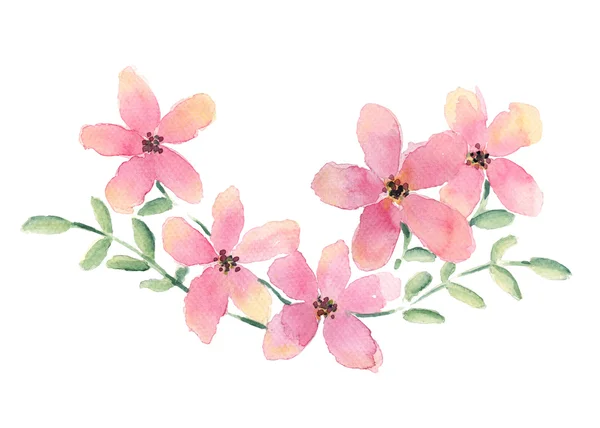 꽃과 잎을 물감으로 그린 그림 — 스톡 사진