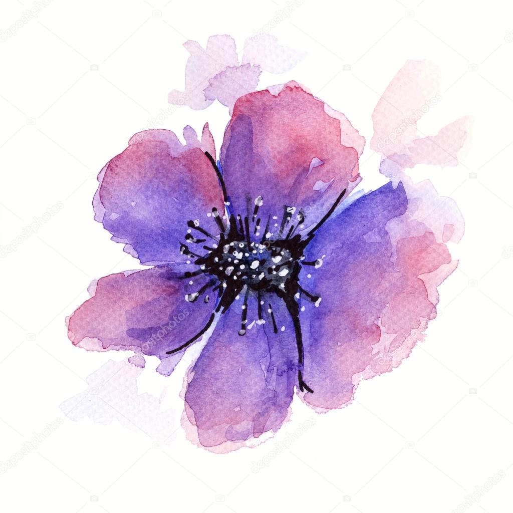 Watercolor painting of a flower
