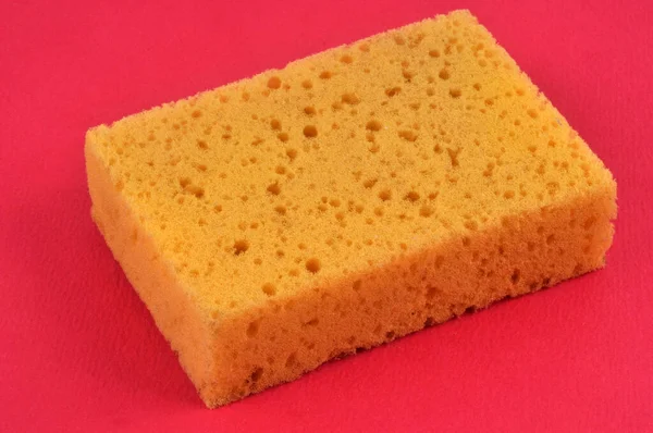 Sponge Close Red Background — Stock Photo, Image