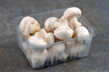 Gri arkaplanda plastik mantar tepsisi