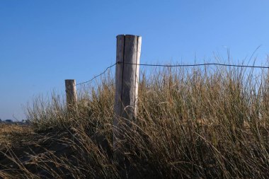 Plouharnel 'deki Ty Hoche plajının çimenli kumsalında