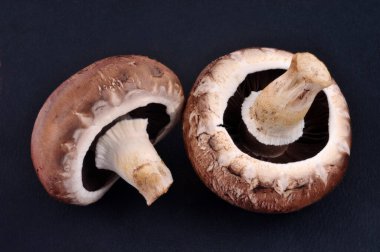 Siyah arkaplanda ham mantarlar yakın plan