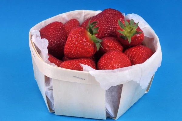 Gariguette Erdbeeren Einem Hölzernen Tablett Nahaufnahme Auf Blauem Hintergrund — Stockfoto