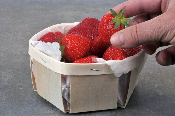 Nehmen Sie Eine Gariguette Erdbeere Einem Hölzernen Tablett Nahaufnahme — Stockfoto