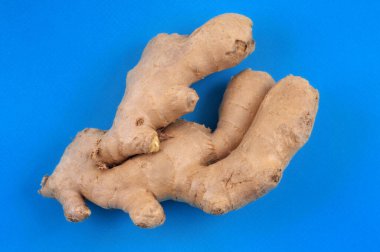 Mavi arkaplanda taze zencefil yakın plan