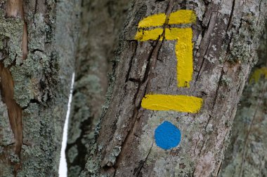 Uzun mesafe yürüyüş yolu işaretleri yakın plandaki bir ağaç gövdesine asılmış. 