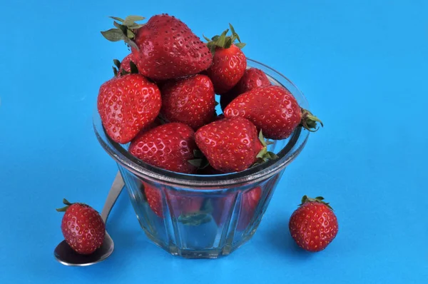 Ramekin Von Gariguettes Erdbeeren Großaufnahme Auf Blauem Hintergrund — Stockfoto