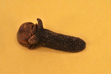 Sarı arkaplana karanfil yakın plan