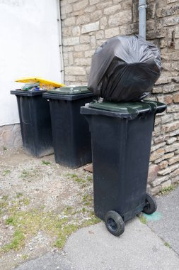 Fransız klasik ve seçici tasnif kutuları