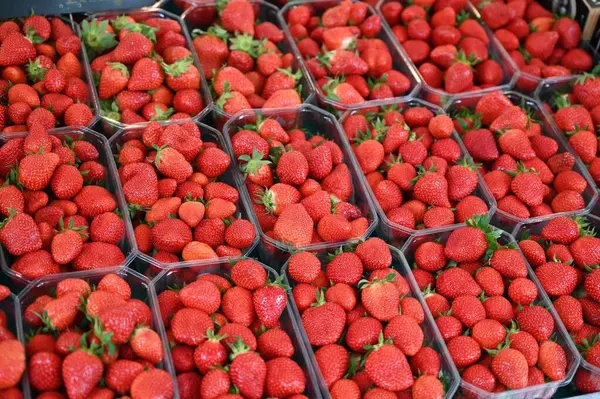 Tabletts Mit Erdbeeren Aus Nächster Nähe Auf Einem Marktstand — Stockfoto