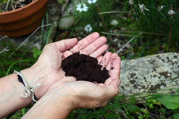 Someone Coffee Grounds Hands Put Them Garden Royalty Free Stock Photos