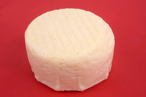 Sheep Cheese Close Red Background — Stock Photo, Image