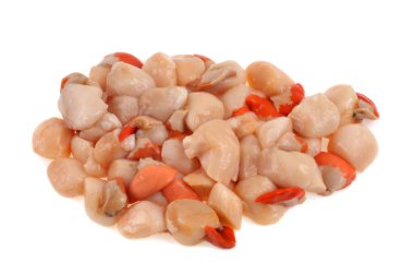 Beyaz arkaplanda ham deniz tarakları 