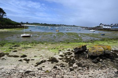 Brittany 'de Portsall Limanı sular çekildiğinde