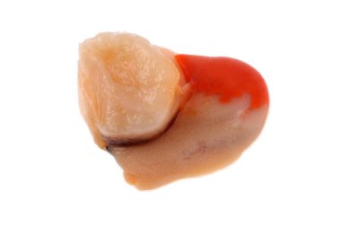 Çiğ deniz tarağı somunu beyaz arkaplanı kapat