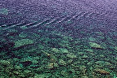 Akdeniz 'in Şeffaflığı
