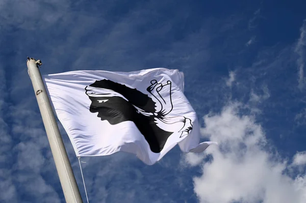 Bandera Córcega Con Cabeza Del Moro Ondeando Viento —  Fotos de Stock