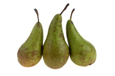 Konferans armutları beyaz arkaplanda izole edildi