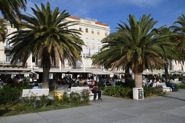 Riva 'daki turistler palmiye ağaçları ve bar ve restoranlardan oluşan teraslarıyla Split' te