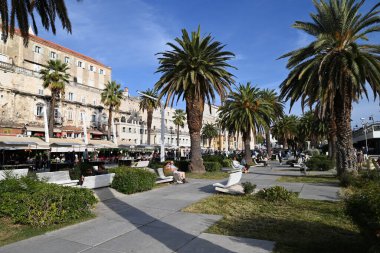 Riva 'daki turistler palmiye ağaçları ve bar ve restoranlardan oluşan teraslarıyla Split' te