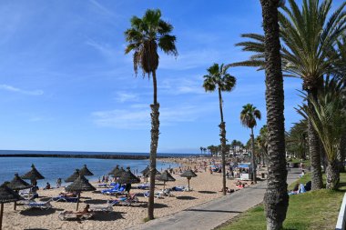 Tenerif adasında, Los Cristianos 'taki El Camison plajında güneş altında güneşlenen turistler.