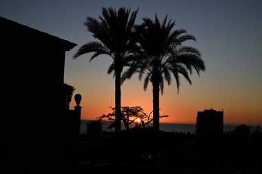 Los Cristianos 'ta gün batımı Tenerife adasında ön planda iki palmiye ağacı ile