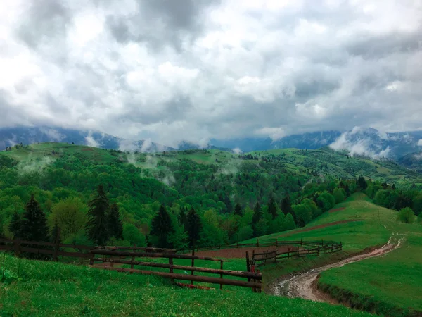 Wolken steigen direkt aus den Bergen empor — Stockfoto