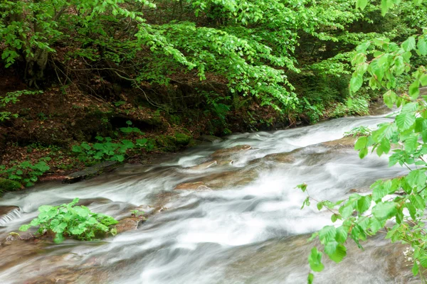 El flujo del río turbulento con fondo rocoso en el bosque — Foto de Stock