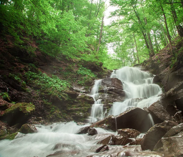 Hermosa cascada forestal con árboles a su alrededor — Foto de Stock