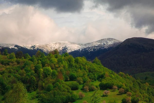 Grüne Hügel und schneebedeckt — Stockfoto