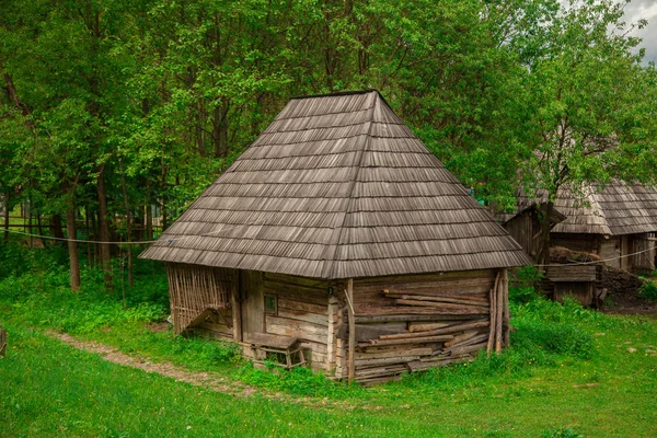 Starý dřevěný dům v lese — Stock fotografie