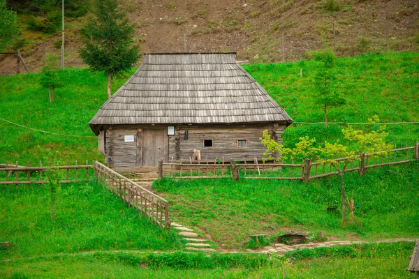 Старий дерев'яний будинок на зеленому пагорбі — стокове фото