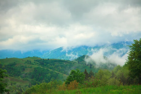 Paysage de montagne avec des nuages flottant à travers les arbres — Photo