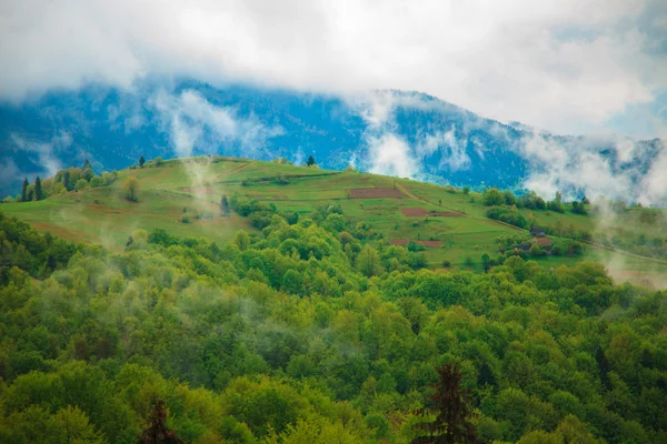 Paysage de montagne avec des nuages flottant à travers les arbres — Photo