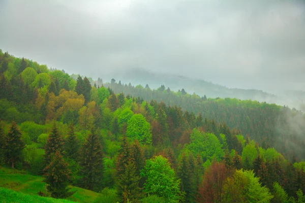 多雨多云的山地景观 — 图库照片
