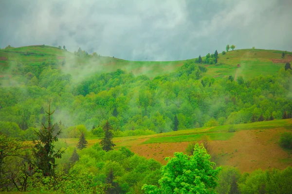 Paisagem de montanha verde nublado — Fotografia de Stock