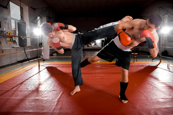 Двоє чоловіків боксують на рингу — стокове фото