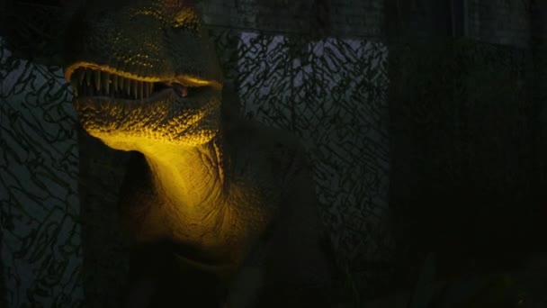 有锋利牙齿的大型掠食者T Rex恐龙的特写镜头 — 图库视频影像