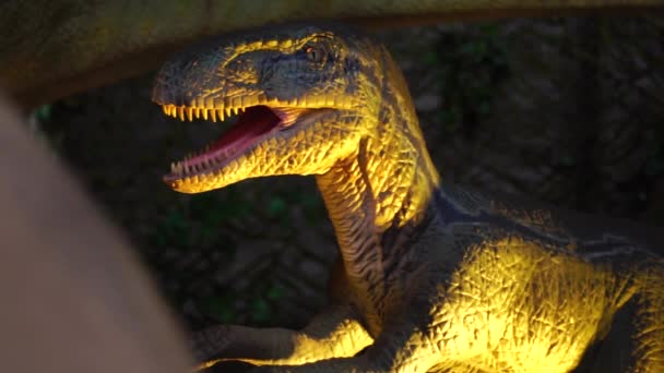 Κοντινό Γιγάντιο Αρπακτικό Velociraptor Suncurus Αιχμηρά Δόντια — Αρχείο Βίντεο