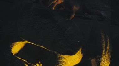 Dev velociraptor arkadan otçul dinozora saldırıyor.