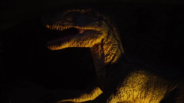 Närbild Jätte Rovdjur Velociraptor Dinosaurus Med Vassa Tänder — Stockvideo