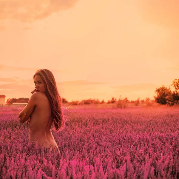 Sexy adult caucasian woman in the field on sunset — Stock Photo, Image
