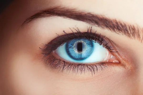 Foto da vicino dell'occhio blu della donna — Foto Stock