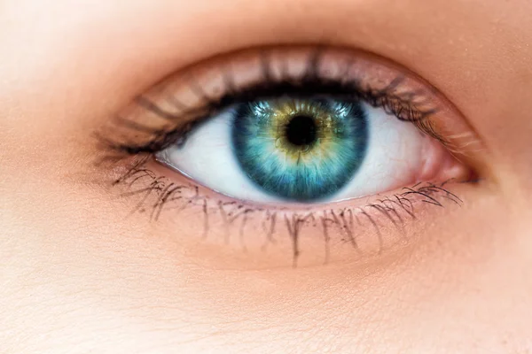 Macro photo of woman eye with make up — Stock Photo, Image