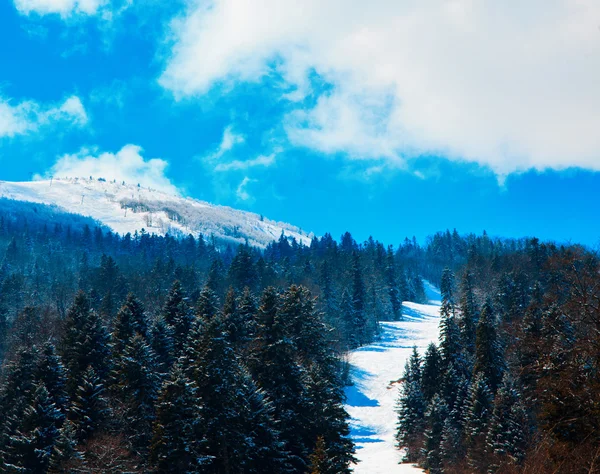 Kayak pisti. Bjelasnica. Bosna Hersek — Stok fotoğraf
