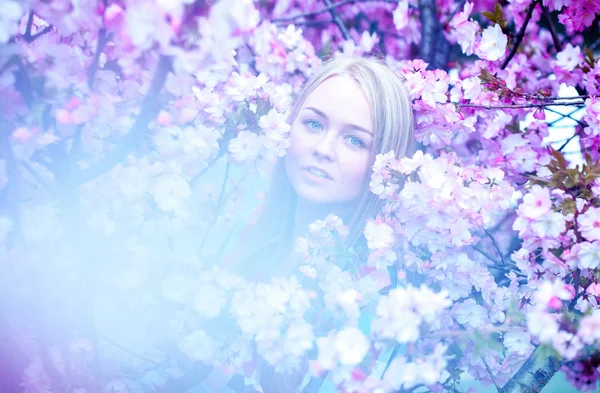 Verführerische blonde Frau in blühenden Blumen — Stockfoto